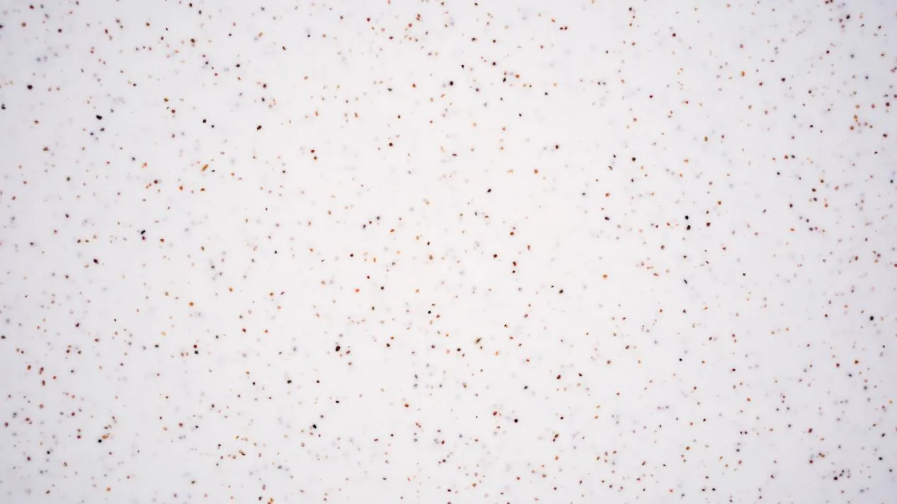 product-1267-713 product-1267-713